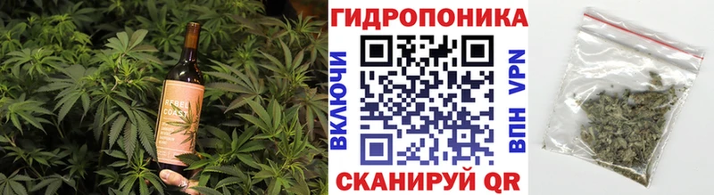 Купить закладки  Великий Устюг  Cannafood конопля 