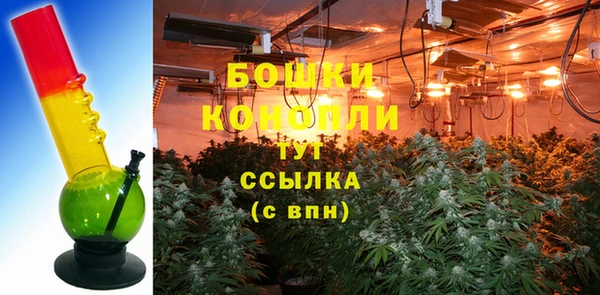винт Верея