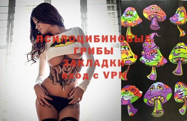 ALPHA PVP Верхний Тагил