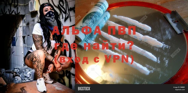 винт Верея