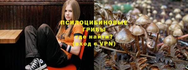 стаф Верхнеуральск