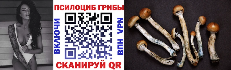 Галлюциногенные грибы Magic Shrooms  Купить где  Великий Устюг 